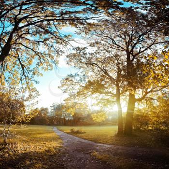 Autumn evening outdoor, non-urban shot park landscape