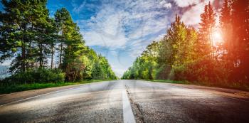 Sunrise beautiful road in forest. Summer landscape