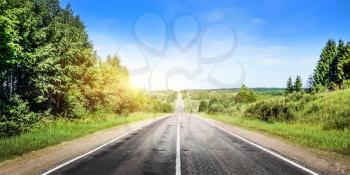 Beautiful road panorama in forest. Summer landscape