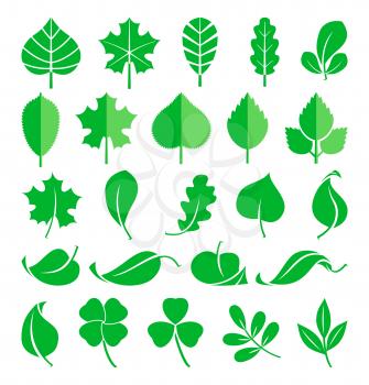 Growing plants. Leaf and grass shoots. Vector illustration in flat style. Nature green spring leaf, natural ecology flora leaf of set