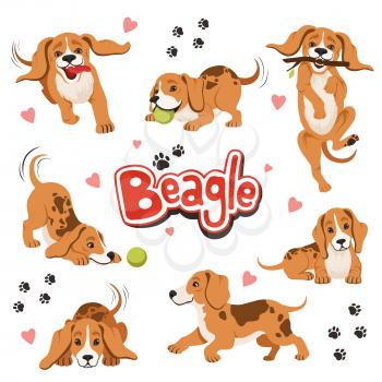 Character of funny movement dog in different dynamic poses. Sitting and shaking pet. Happy character dog beagle, friendly animal dog illustration