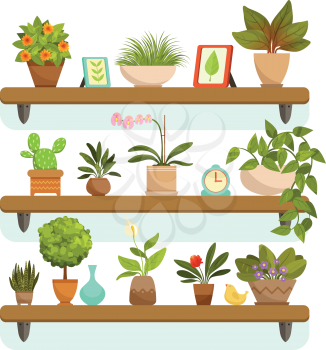 Home plants and decorative flowers in pots, standing on the shelves. Garden flowerpot and green interior house. Vector illustration