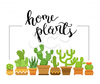 Vector home plants framed illustration with home cacti in pots. Nature green plant in pot, indoor flowerpot succulent cactus