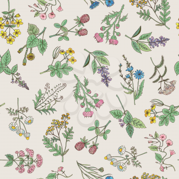 Seamless pattern of various hand drawn herbs and flowers on a gentle pink background. Vector illustration