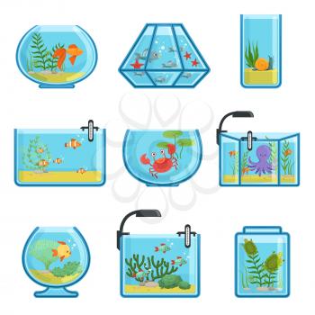 Illustrations set of different aquariums with fishes and saltwater. Underwater world in aquarium with gold fish vector