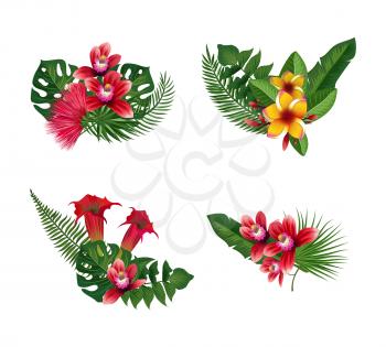 Vector tropical palm leaves and exotic flower elements bouquets isolated on white background illustration