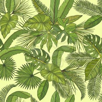 Vector seamless pattern with tropical leaves. Background with green leaf of palm illustration