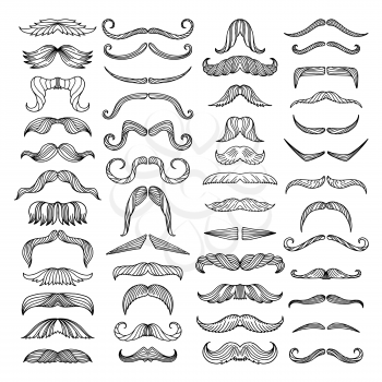 Retro style of hairs. Mustache of men. Vector pictures isolate. Mustache male hair curly illustration