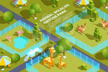 Landscape of zoo with various animals. Stylized vector isometric illustrations. Animal deer and flamingo, giraffe in green park