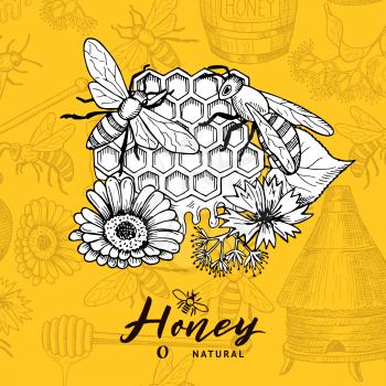 Vector background with sketched contoured honey theme elements and place for text. Beekeeping and honeycomb, sketchy dessert honey illustration