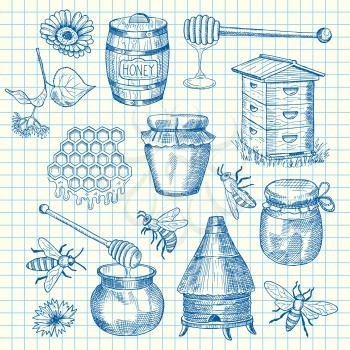 Vector set of hand drawn honey elements on cell sheet illustration. Honey food sketch, bee and flower