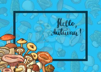 Vector hand drawn mushrooms background with place for text illustration