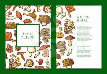 Vector hand drawn mushrooms card, flyer or brochure banner poster template illustration