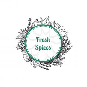 Vector hand drawn herbs and spices under circle with place for text illustration