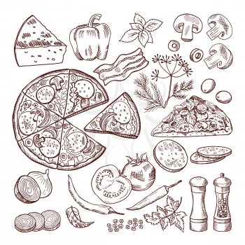 Italian pizza with different ingredients. Vector doodle set pizza and cheese, tomato vegetable and ingredient illustration