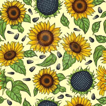 Seamless pattern with yellow sunflowers. Vector illustration sunflower background blossom bright