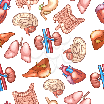 Seamless pattern with different human organs. Human medical anatomy pattern, health liver and kidney. Vector illustration