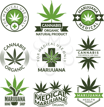 Labels set with different pictures of marijuana plants. Medical herbs, cannabis leaf. Marijuana narcotic badge medicinal illustration