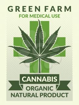 Medical poster with illustrations of leaf of marijuana. Banner natural marijuana for use in medicinal vector