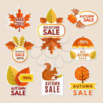Autumn labels at sales. Banners with leaves vector pictures. Design of discount badges and labels for autumn sales and big offers. Sale autumn, discount banner, label with leaf illustration