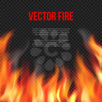 Fire background. Light of blazing flame on transparent background vector explosion vector template. Illustration of danger hell fire banner