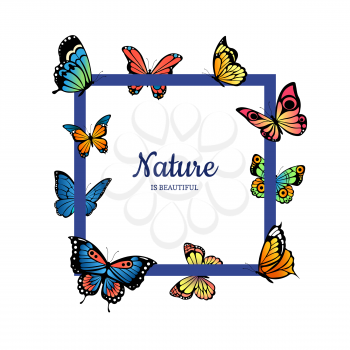 Vector decorative butterflies flying frame with place for text illustration isolated on white