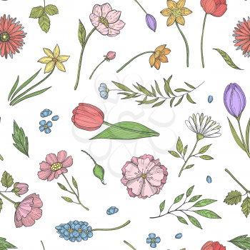 Vector hand drawn flowers pattern or background illustration. Pattern summer flower and green leaf blossom