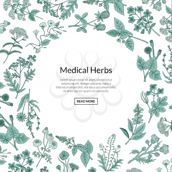 Vector hand drawn medical herbs background with place for text illustration. Herb plant aromatic, botany aroma, healthy and freshness flora
