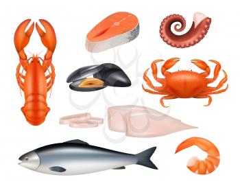 Seafood. Tuna meal fishes shrimps molluscs octopus crab vector realistic natural products. Fish and crab, seafood tuna, fresh squid and mussel illustration