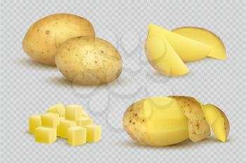 Potatoes realistic. Fresh natural eco vegetarian food slices of potatoes vector template. Vegetable potato, vegetarian product ingredient illustration
