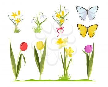 Spring flowers. Floral garden collection bouquet of cartoon flowers chamomiles tulips vector set. Illustration spring floral, bouquet summer flower