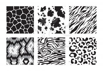 Animals skins patterns. Tiger giraffe zebra leopard vector seamless background. Illustration black and white seamless pattern tiger, giraffe print