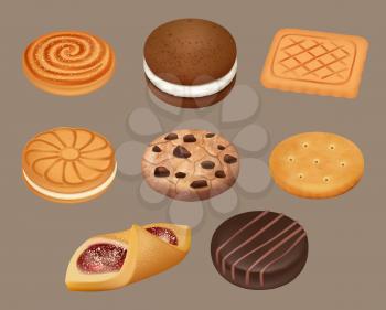 Cookies. Realistic delicious sugar cookies decent vector illustrations. Snack dessert, chocolate taste crunchy cookies