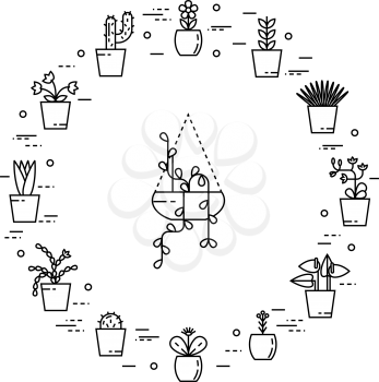 Set of house plant isolated vector flat illustration in round shape. Outline house plants in pots.