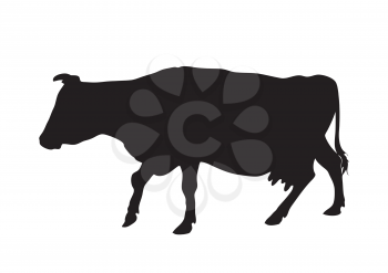 Vector silhouette of going cow. Image black and white.