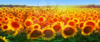 Sunflower Golden Field Blured Background 