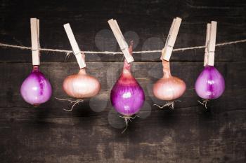 Onions hanging on a rope with wooden background