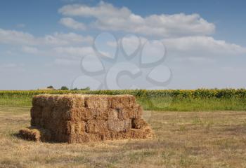 straw bale on field