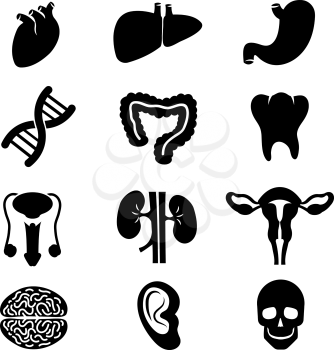 Human organs vector black icons set. Brain organ human and health organ stomach kidney and heart illustration