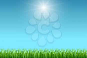 Clean blue sky and green grass vector background. Summer fresh season illustration