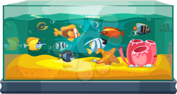 Cartoon freshwater fishes in tank aquarium vector illustration. Exotic cartoon fish in aquarium illustration