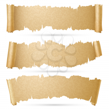 Scroll paper banners vector set. Old ragged roll old parchment illustration