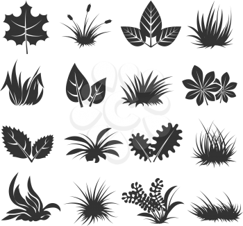 Leaves and grass vector icons, Set of plants in black color. Collection of organic herb in monochrome style illustration