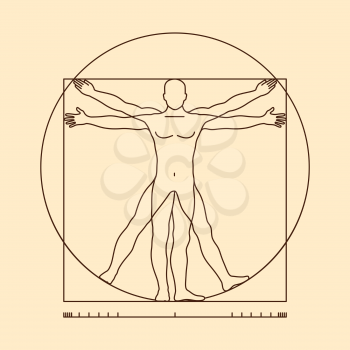 Leonardo da vinci vitruvian man form similar vector. Illustration of body man, classic proportion man