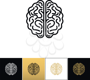 Brain vector icon. Brain program on black, white and gold background