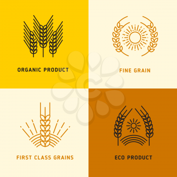 Harvesting vector logos with wheat grains. Logo with fine grain first class illustration