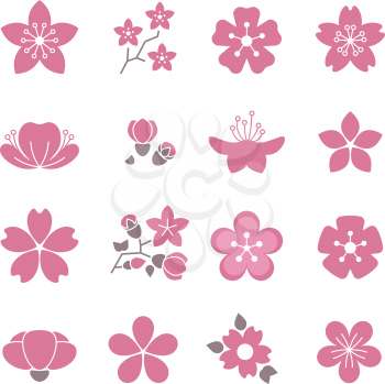 Cherry pink flower, spring sakura blossom vector icon set. Blossom sakura flower, branch of bloom sakura illustration