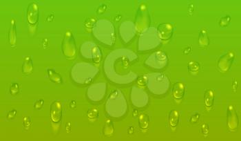 Green natural background with water drops. Fresh dew vector illustration