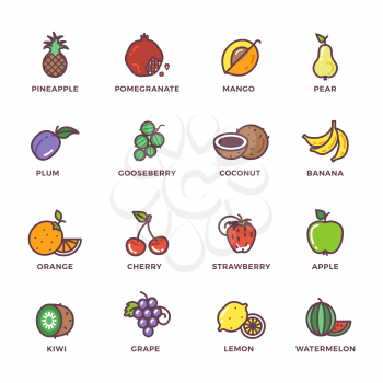 Fruits raw food colored vector icons set. Fresh narural vegetarian food illustration