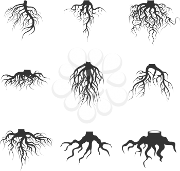 Tree and plant underground roots vector set. Tree root black. illustration of plant silhouette root
